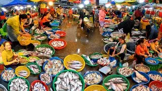 Cambodia Fish Distribution Market, Freshwater Fresh Fish, Wet Markets, Abundant Fish