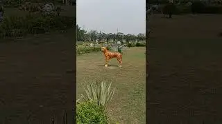 Park | Panorama water park | Asansol | beautiful view