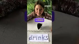 Novakid &ndash; Fun Online English for Kids (4&ndash;12)!