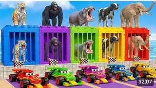 The BEST 3D Animal Game EVER! Funny Animals in Crazy Slides