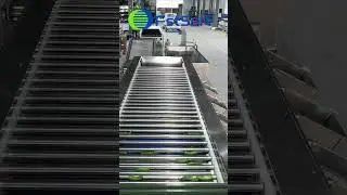 Mini Cucumber Sorting Equipment,Automatic Grader for Vegetable,Gherkins Grading and Packing Line