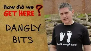 How Did We Get Here? - Dangly Bits