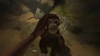 Amnesia Rebirth - The Deeper Caves: Use Matches, Find Monkey 