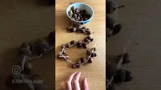 Easy peasy acorn garland #acorns #forager #diy #fall #falldecor #craft #autumn