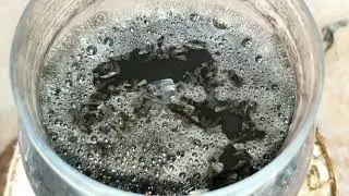 Test Karbon Aktif Yang Bagus Untuk Pengolahan Emas