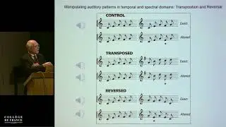 Atteintes auditives : les th&eacute;rapies du futur (4) - Christine Petit (2017-2018)