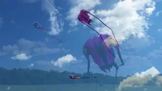 Trilobite and Reileit Foil Kites - The Perfect Morning
