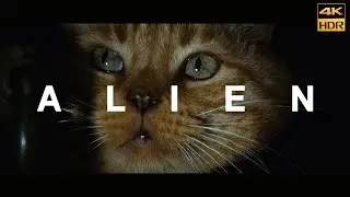 Alien (1979) Jonesy Movie Clip 4K HDR10 Remaster Dolby Vision Mastered