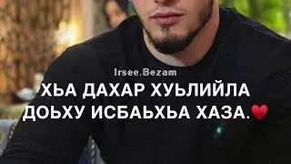 Песня Поздравительное! Дал декъал войл&hearts;️
