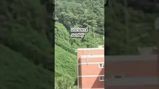 20250914  | Lazy Sunday Moments  #commutevlog #dailyvlog #vlog #とある日の学食イン韓国 #calmvlog #lazyvibes