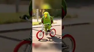 Parrot Riding a Bike! | Funny & Cute Smart Parrot Tricks #parrot #shorts