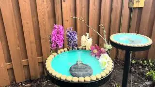 Sad Cat Birdbaths 2025 year in review. 