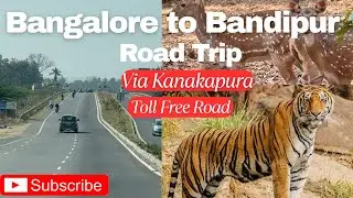 Bangalore to Bandipur Road Trip I Jungle Lodges & Resorts in Bandipur I Best Route I Tiger Reserve