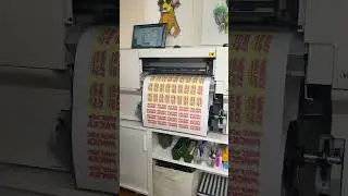 Let's make stickers with the Roland Bn2-20