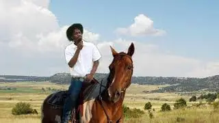Y-Bash - Country Boi feat. Walmart Yodel Kid | prod. Degrasse (Official Visulizer)