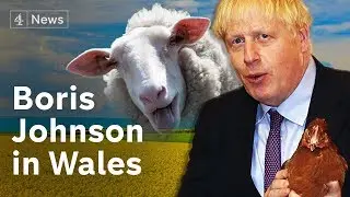 Boris Johnson plays chicken over Brexit amid Welsh no-deal rulings