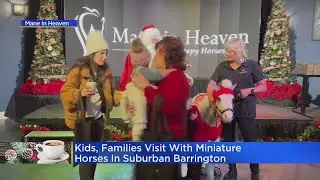 Kids, families visit with miniature horses in Barrington