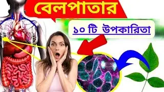 বেলপাতার ১০ টি চমৎকারী উপকারিতা | 10 Amazing Health Benefits Of Bael Leaves | Bengali Health Tips