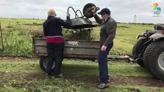Flat Holm Video