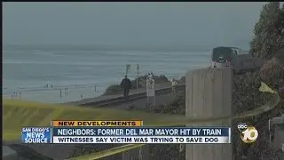 Man chasing after dog struck, killed by train in Del Mar area