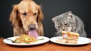 Its breakfirst time ❤️