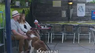 Teaser campagne Stad Dendermonde: Eet, drink en geniet lokaal.