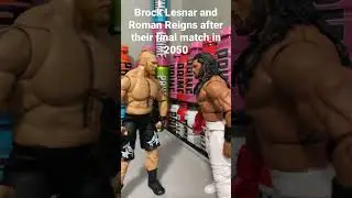 Brock lesnar vs Roman reigns in 2050 😔 #wwe #wwefigures #stopmotion #funny #figure #romanreigns