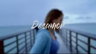 Laura Chimaras | Desamor