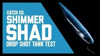 Shimmer Shad: Drop Shot Rig Underwater Tank Test
