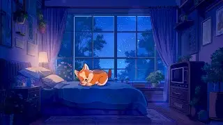 Late Night Vibes 💤 Calm Down And Relax 💤 Lofi Corgi Music 💤 Dreamy Lofi Songs For Sweet Dreams