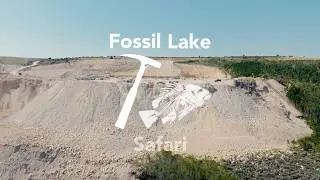 Fossil Lake Safari - Fossil Hunting Adventure Of A Lifetime - Kemmerer, Wyoming