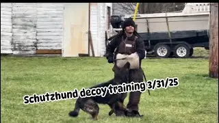 Training Schutzhund IGP 1 helper routine 3/31/25 part 1