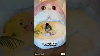 How To Make A Human Sized Cat House ❤️ #cat #petlover #diy