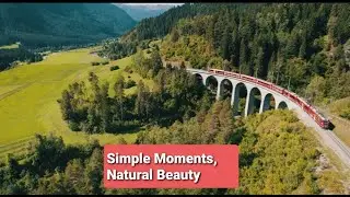 Lost in Nature | Beautiful LandscapesNature Diaries | Mountains, Forests & Peace