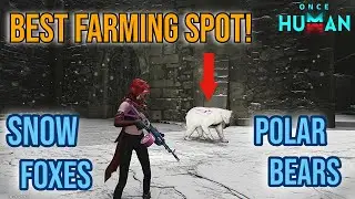Best Place to Farm Rare Snow Foxes and Polar Bears | Once Human
