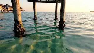 Bob Marley Tribute - 70's Reggae 24/7 Radio |For Relaxing, Meditation, Work, Gym And Chillout