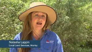 Working with the Wiradjuri community on bushfire recovery