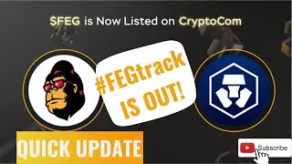 FEGtrack IS OUT 🔥 FEG TOKEN  LATEST UPDATES 🟢 SHOULD I BUY MORE FEG NOW ??🦍🦍🦍