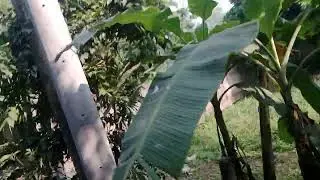 ইউটিউব এর টাকায় কি কি কিনতে থাকি দেখতে থাকুন