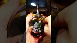 Day 13: Building a mini Hanging Terrarium #terrarium #nature #ideas