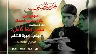 جديد وحصريا مجنونين  || ملا رضا علي كامل|| موكب اميرة الشام ع قلعه سكر محرم 1446