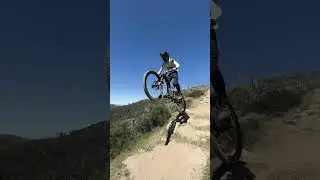 Thredbo MTB x Specialized