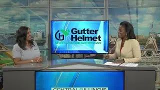 Gutter Helmet