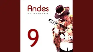 Charango Solo