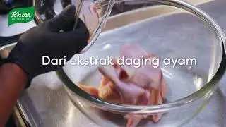Knorr Chicken Powder