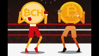 Bitcoin Cash: как появился и чем отличается от Bitcoin?