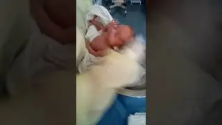 Primeiro banho de bacia na UTI(, Prematuro)