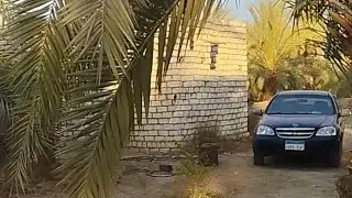 7أفدنه تمليك في منطقة القصعه مياه حكومة للاستفسار فون واتساب إيمو 01220013039/01009554654