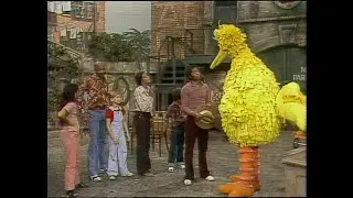 0822 - Big Bird Doesn't Want to Play 
