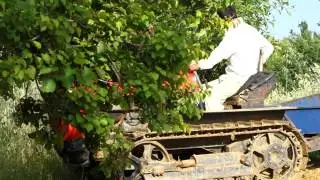 Lamborghini Crawler Tractor